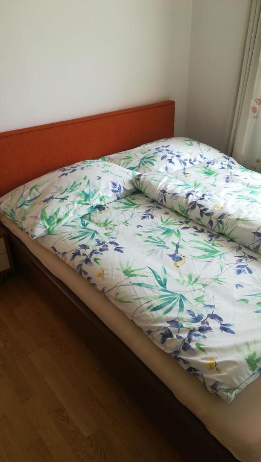 Seeappartment Regina Bodensdorf Am Ossiacher See Am Fusse Der Gerlitzen Tschoran 外观 照片